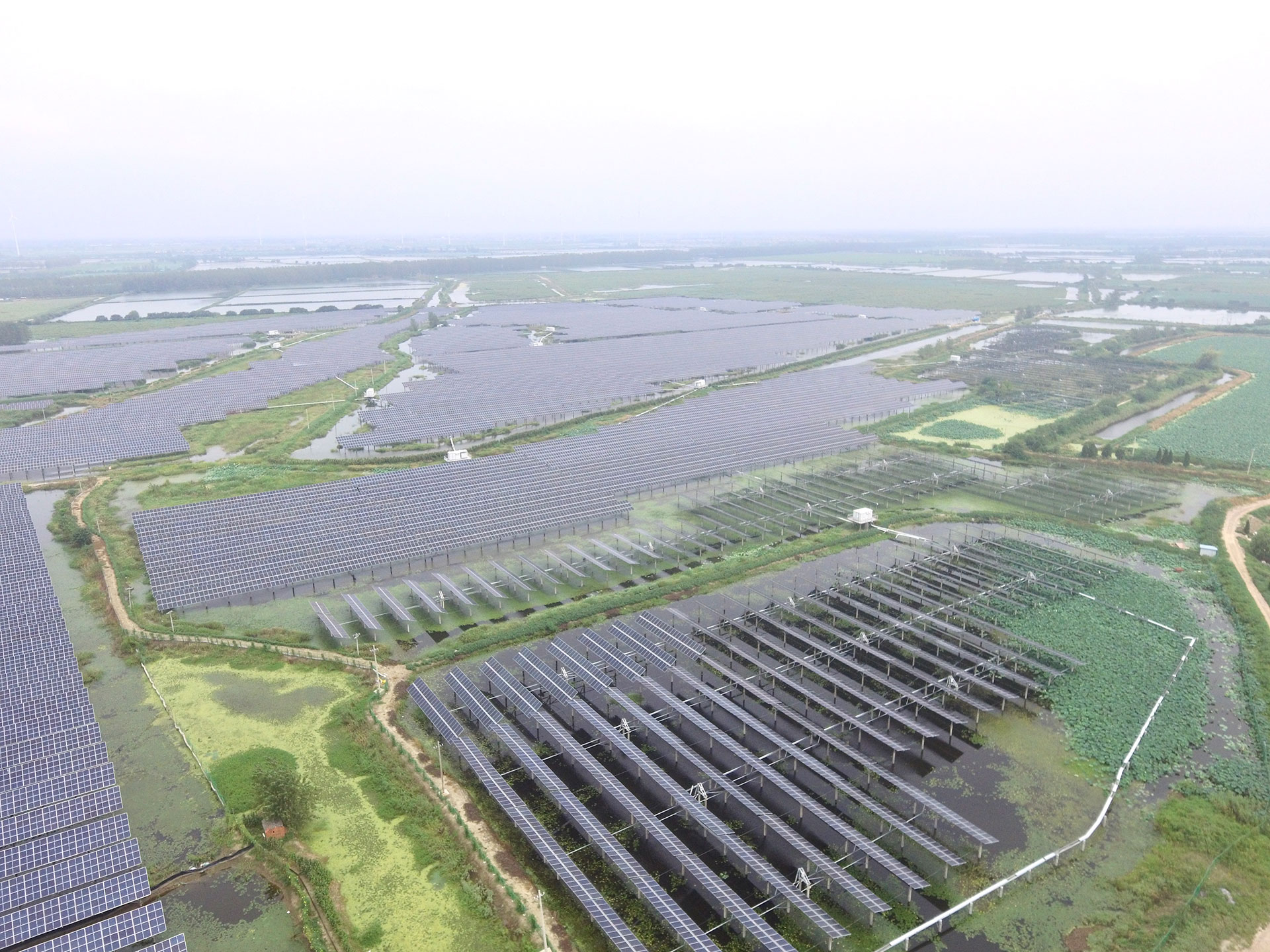 必赢体育江苏扬州宝应光伏发电应用领跑基地2号100兆瓦项目